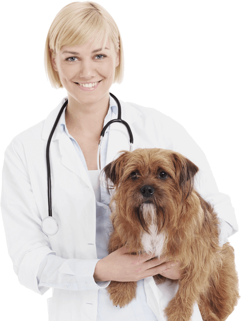 dr-woman.png